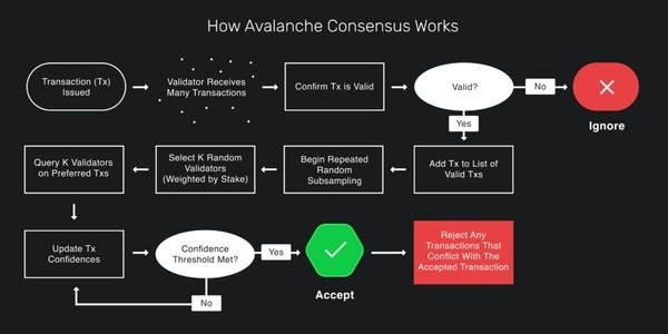 Consensus Avalanche