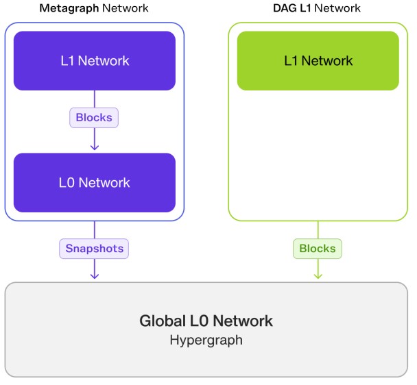 Hypergraph Network (HGTP)