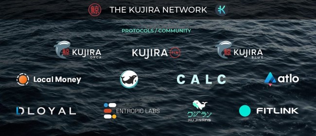 écosystème Kujira