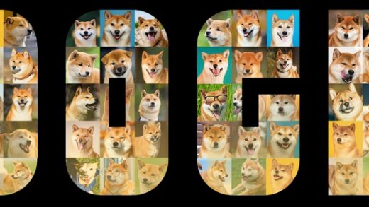 Evolution du Dogecoin