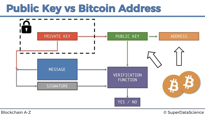Clé Publique Bitcoin